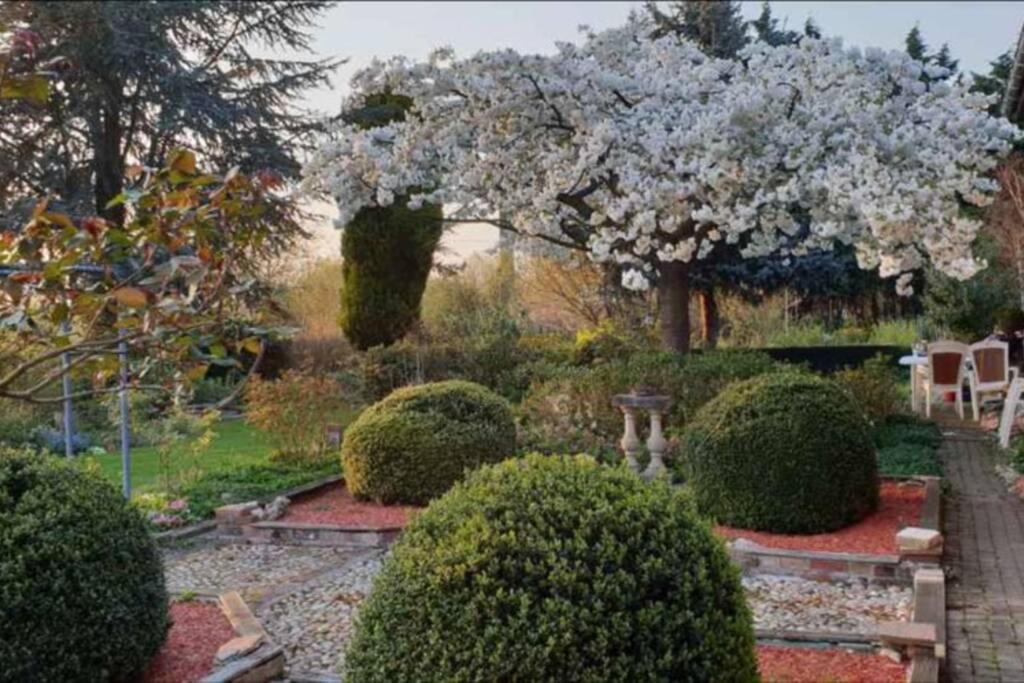 Chez Maya Erquinghem-Lys Exterior photo